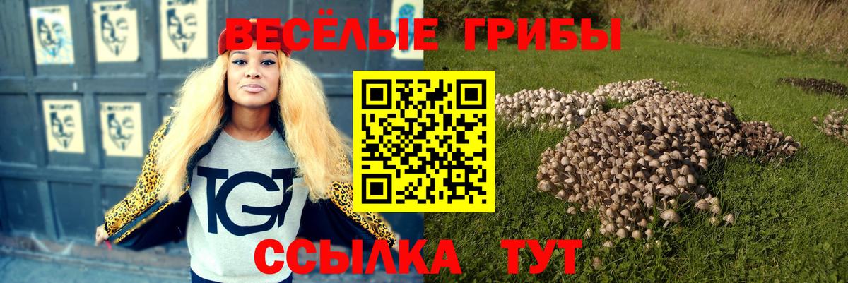 Псилоцибиновые грибы Cubensis Миллерово